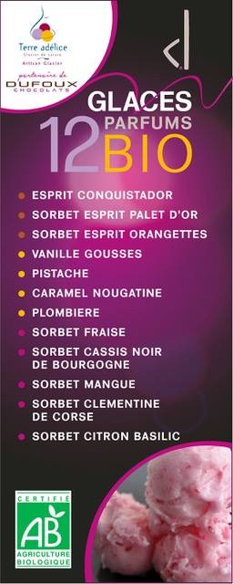 glaces et sorbets bio différents parfums