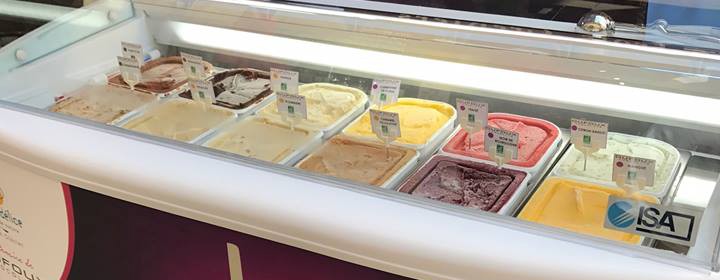 différentes variétés de glaces et sorbets bio